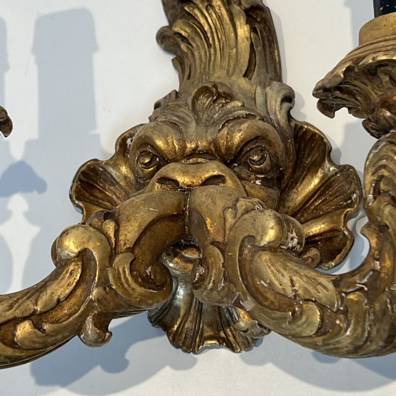 Paire d'Appliques aux Dauphins en Bois Sculpté Doré à Deux Bras de Lumière, Régence, Travail Français, vers 1900