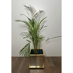 Jardinière en Miroir et Métal Doré