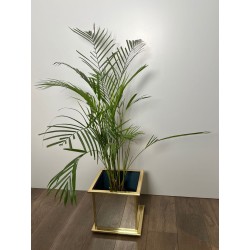 Jardinière Carrée à Panneaux Miroir et Cadre en Métal Doré