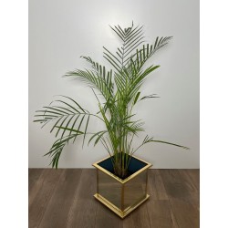 Jardinière Carrée à Panneaux Miroir et Cadre en Métal Doré