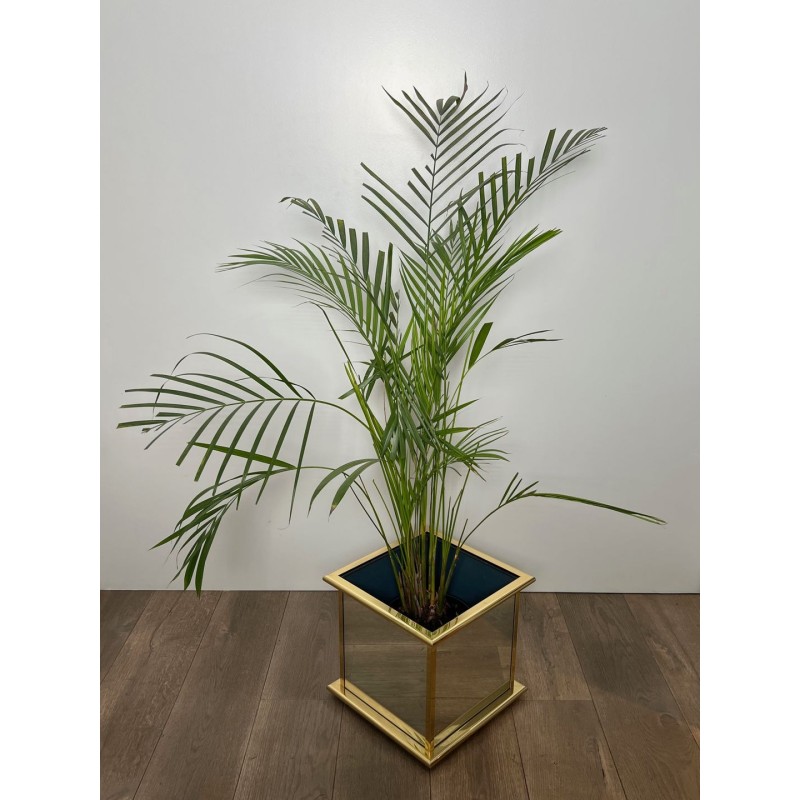 Square Mirrored Jardinière with Gilt Metal Moulded Frame