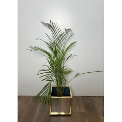 Jardinière Carrée à Panneaux Miroir et Cadre en Métal Doré