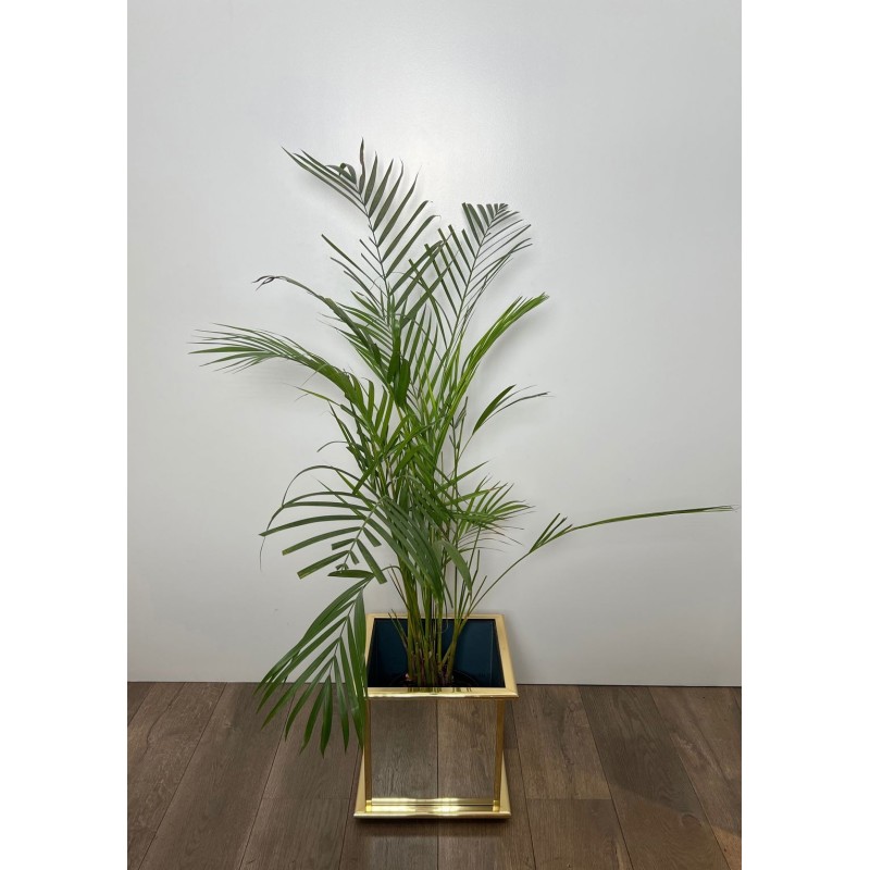 Jardinière Carrée à Panneaux Miroir et Cadre en Métal Doré