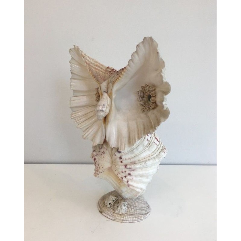 Decorative Owl Sculpture Assembled from Natural Shells, French circa 1970