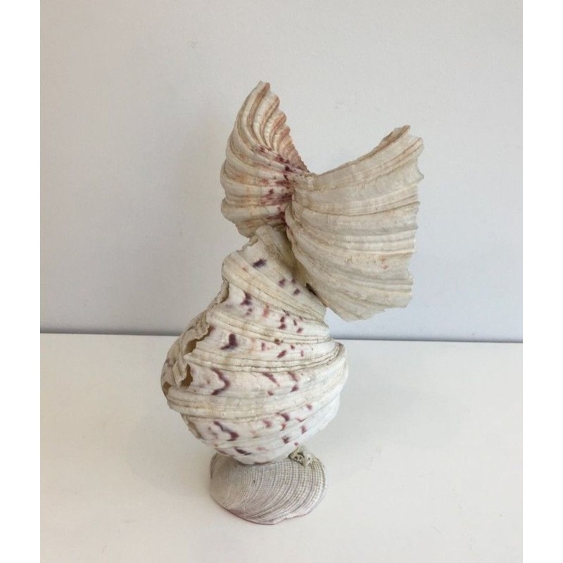 Decorative Owl Sculpture Assembled from Natural Shells, French circa 1970
