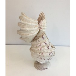 Decorative Owl Sculpture Assembled from Natural Shells, French circa 1970