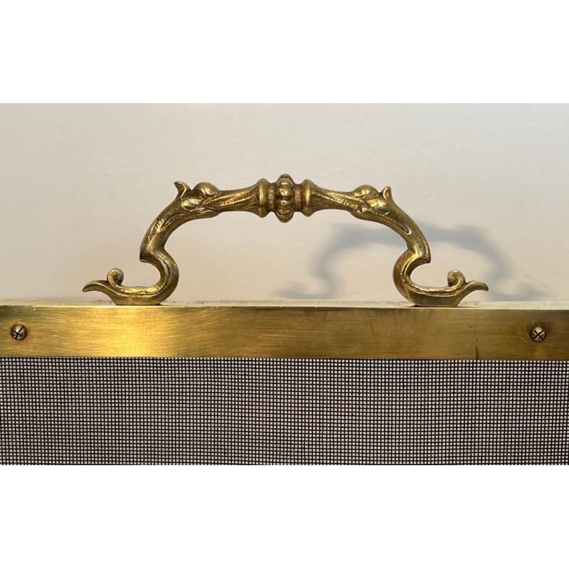 Neoclassical Brass and Wire Mesh Fireplace Screen, Mandolin and Floral Mounts, Marked MS