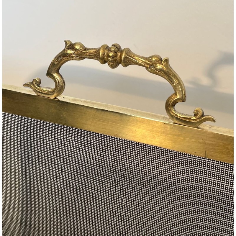 Neoclassical Brass and Wire Mesh Fireplace Screen, Mandolin and Floral Mounts, Marked MS